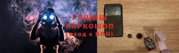 дмт Бородино