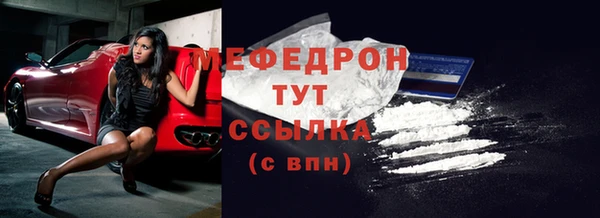 spice Богородицк