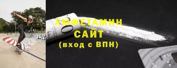 дмт Бородино