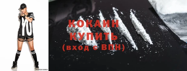 дмт Бородино