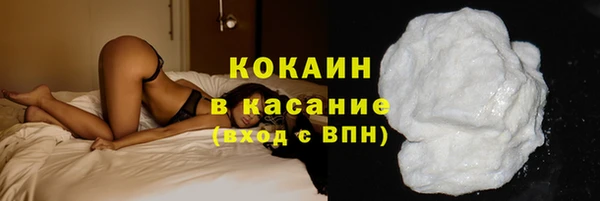 дмт Бородино