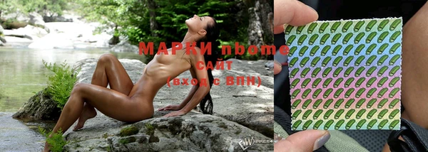 дмт Бородино