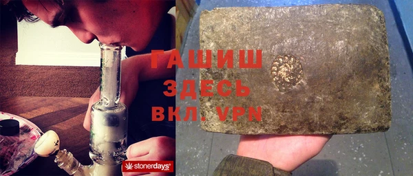 дмт Бородино