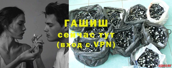 дмт Бородино