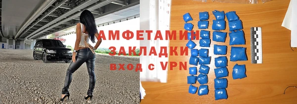 дмт Бородино