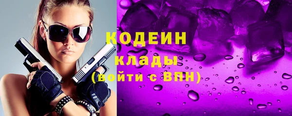 дмт Бородино