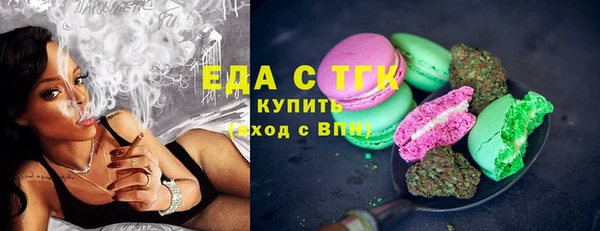 дмт Бородино