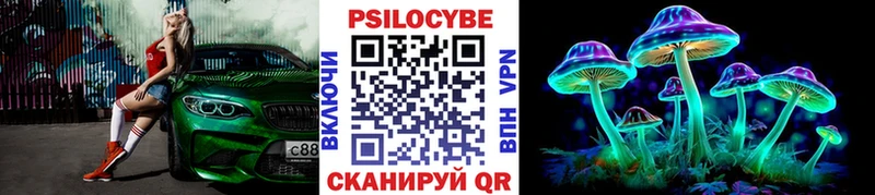 Псилоцибиновые грибы GOLDEN TEACHER  Балаково 